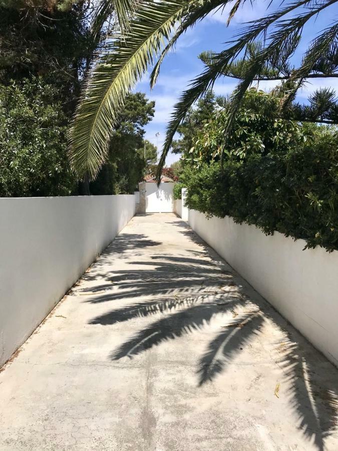 קאלה בלנקה Chalet La Rosa מראה חיצוני תמונה